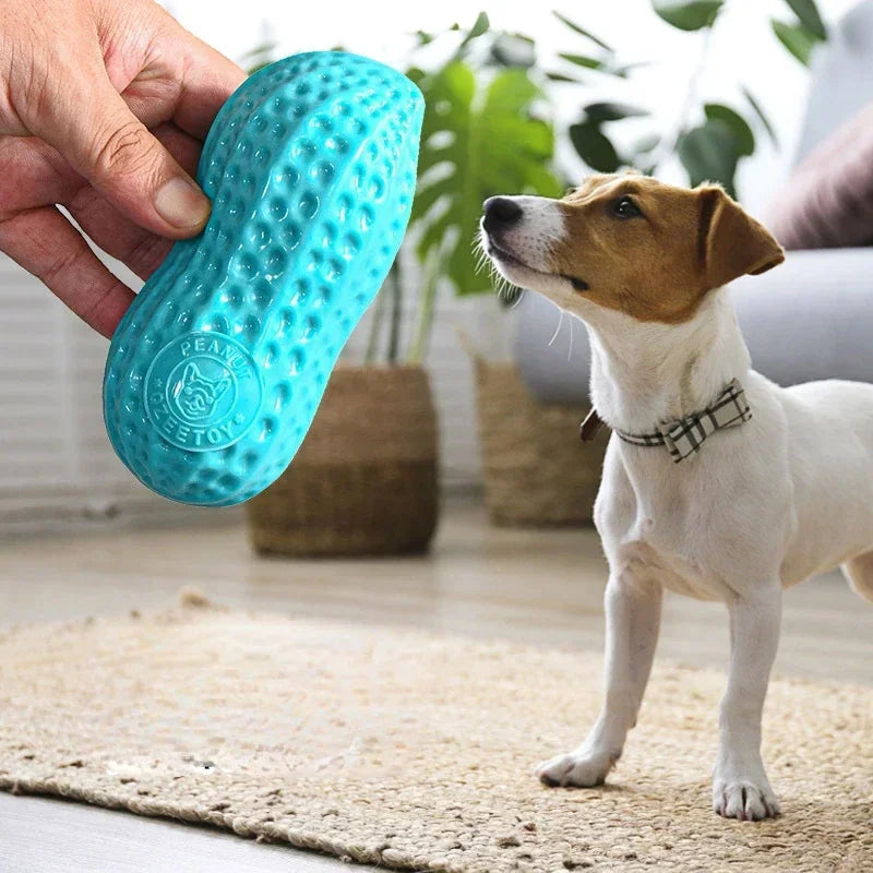 TPR Pet Dog Interactive Teeth Bite Toy Training Puzzle Supplies Peanut Stick Grinding Resistant
