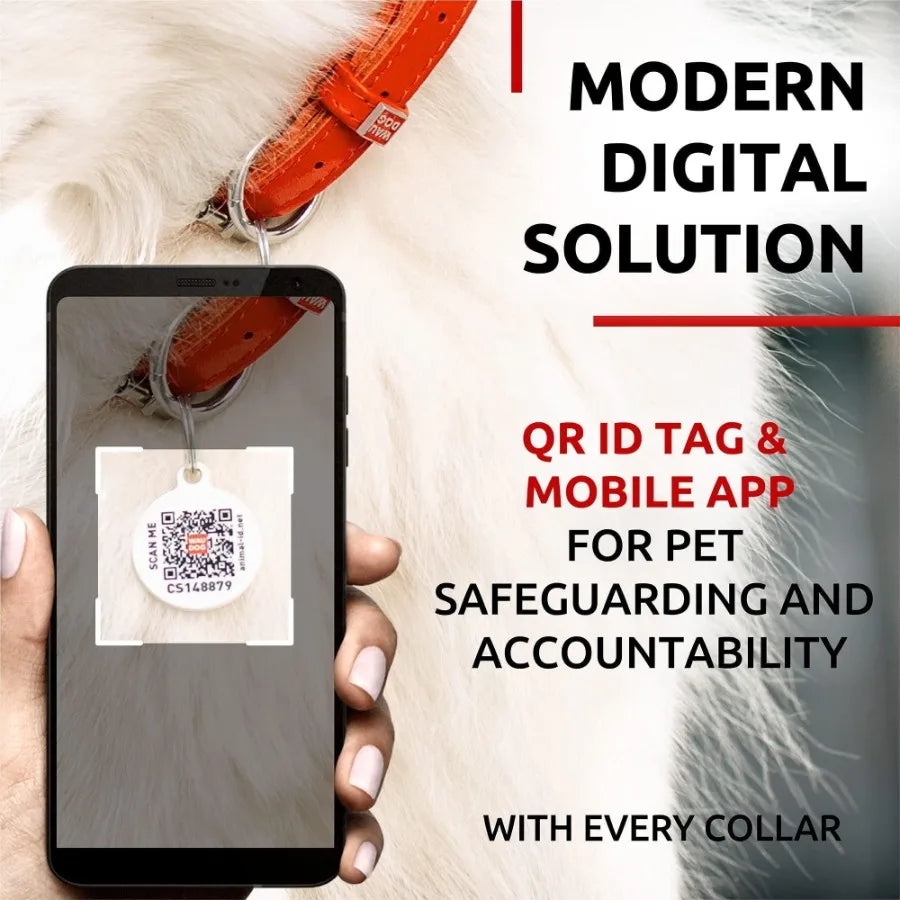 Ultra Soft Rolled Leather Dog Collar Padded Dog Collars for Medium Dogs Male and Female Orange 10 to 13 Inch Neck