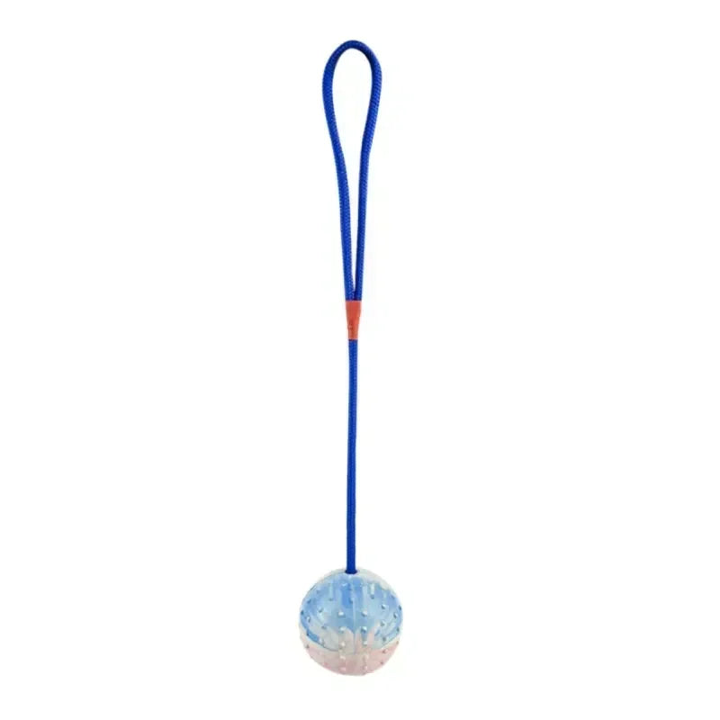 Rubber Interactive Dog Training Toy Natural Fetch Play Ball with Rope for Pet Rewards