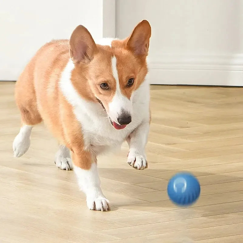 Toys Intelligent Gravity Jump Ball Rechargeable Bite-resistant Rolling Ball Cat And Dog Chase Interactive Pet Toys Dog Step