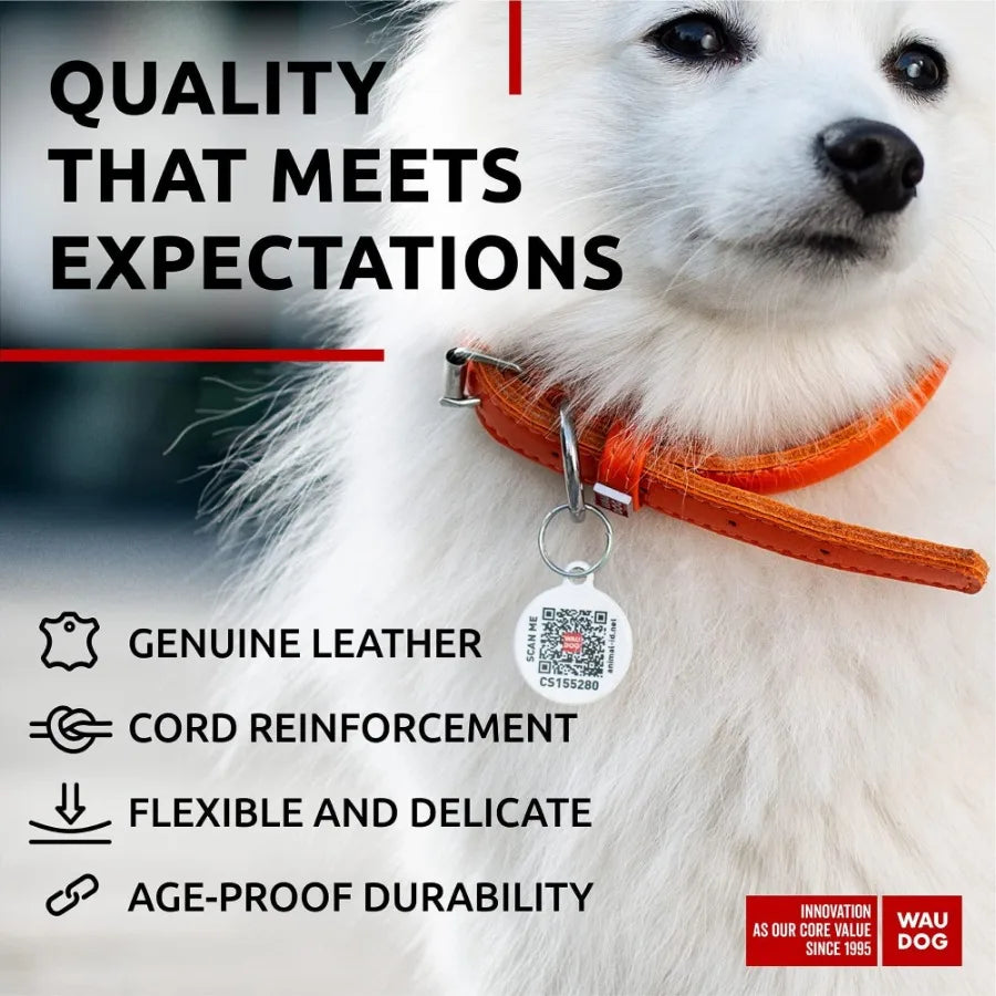 Ultra Soft Rolled Leather Dog Collar Padded Dog Collars for Medium Dogs Male and Female Orange 10 to 13 Inch Neck
