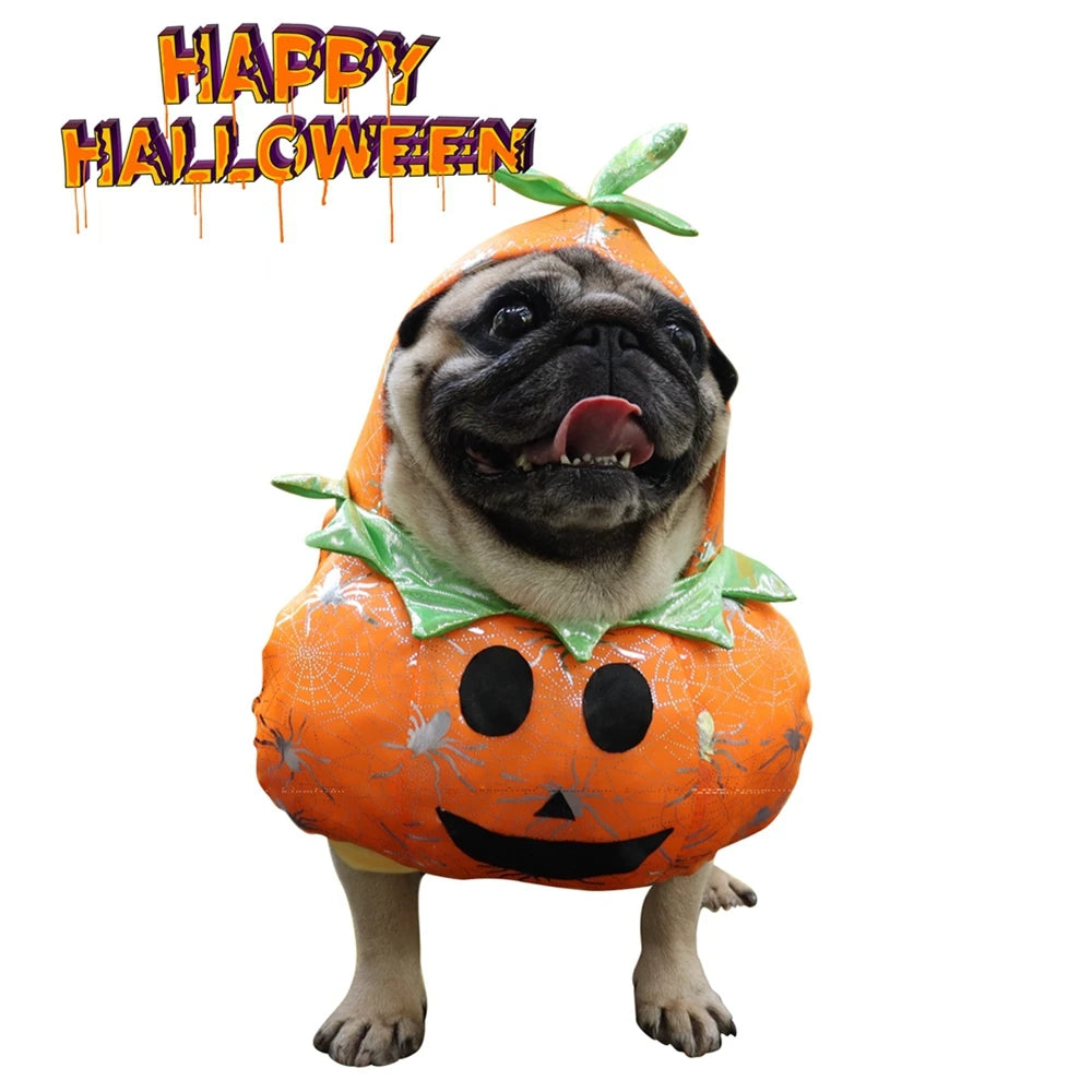 Halloween Dog Clothes Funny Pumpkin Costume for French Bulldog and Chihuahua Jumpsuit Puppy Coat Sweatshirt