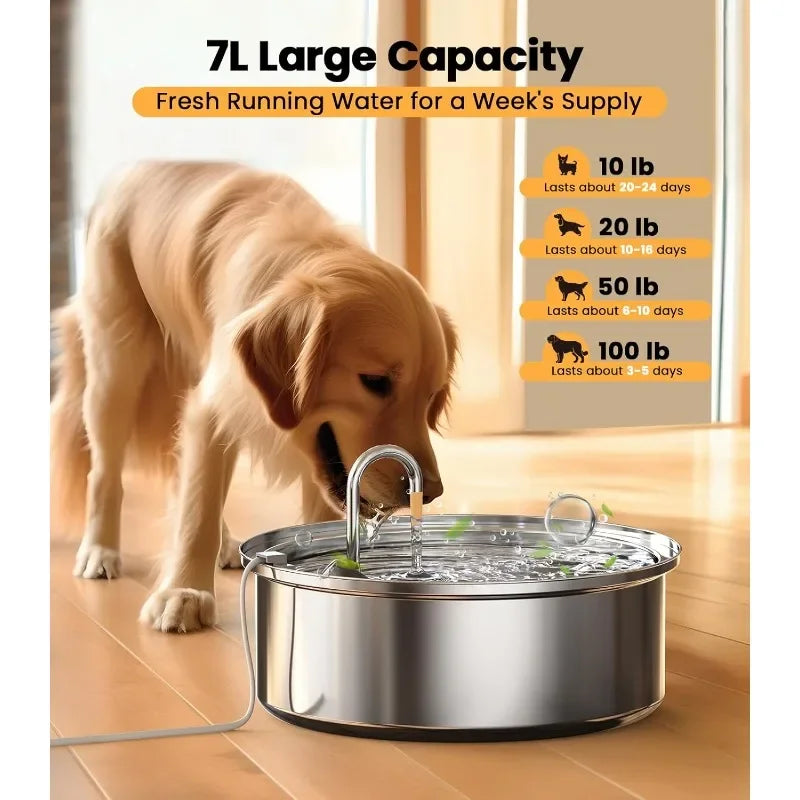 Dog Water Bowl Dispenser 7L Quiet Automatic Stainless Steel BPA Free for Cats