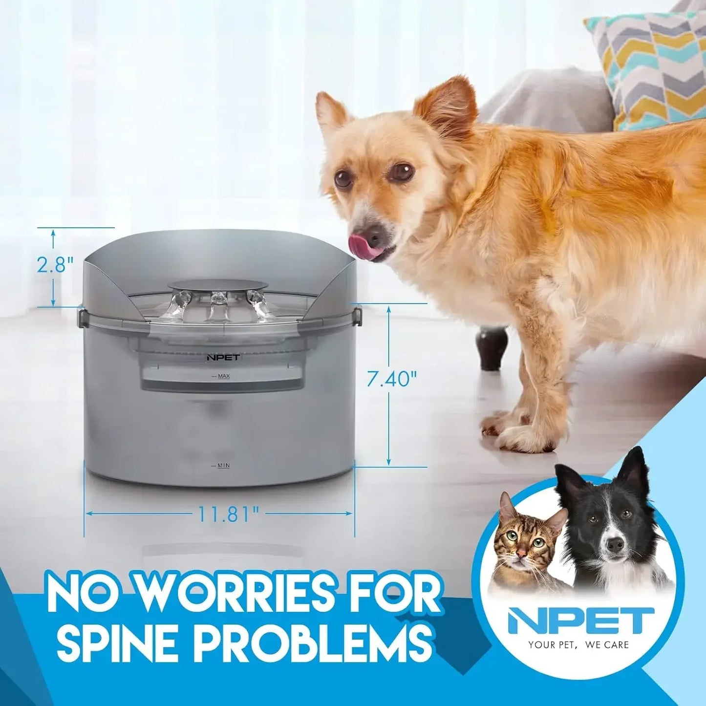 NPET Dog Water Fountain, 2 Gallon/270oz/8L Large Automatic Dog Water Dispenser with Splatter Guard for Large Dogs Multiple Pets