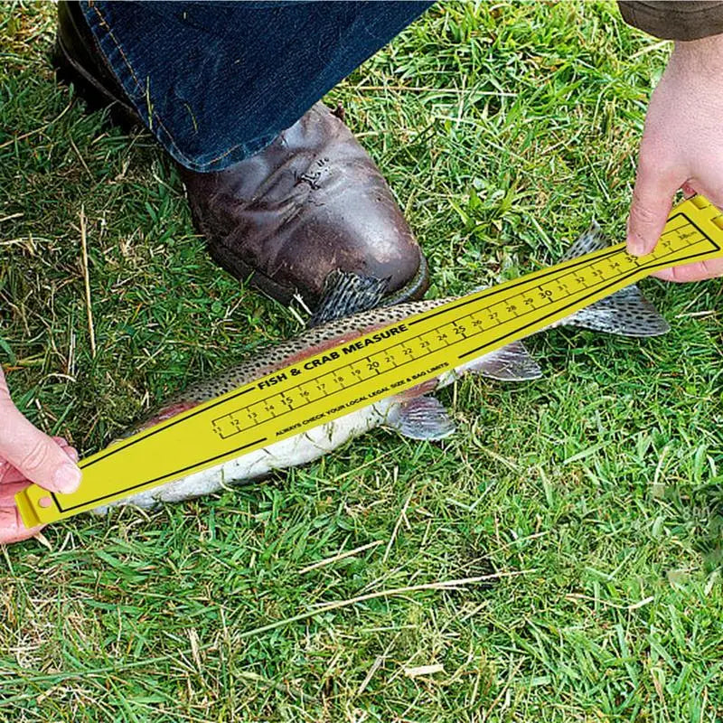 Foldable Fish Measuring Ruler Fishing Measurement Tool Crab and Fish Measure Device Fishing Accessories