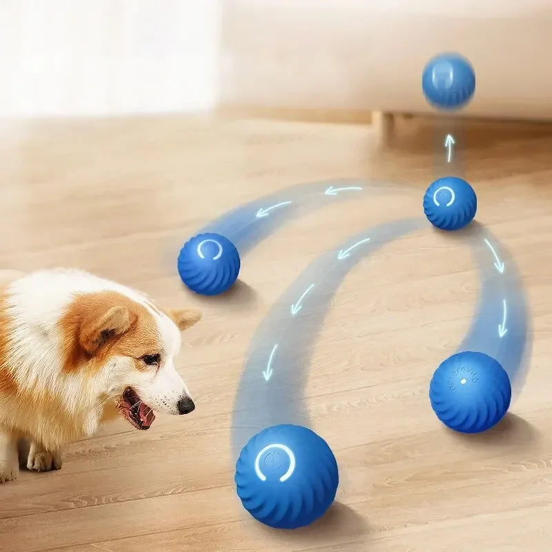 Toys Intelligent Gravity Jump Ball Rechargeable Bite-resistant Rolling Ball Cat And Dog Chase Interactive Pet Toys Dog Step