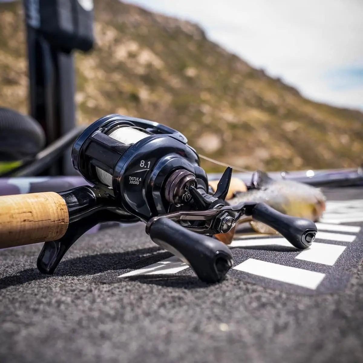 Saltwater Spinning Reel 2500 5.6 to 1 Gear Ratio 6 Plus 1 Bearings 33.20 Inch Retrieve Rate 13.20 Pound Max Drag Black and Gold
