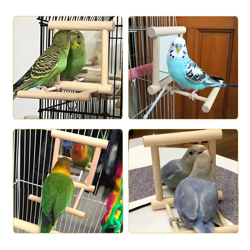 Bird Mirror Toy with Perch Stand for Parrot Budgie Parakeet Cockatiels Conure Finch Lovebird Canary Macaw Amazon Cockatoo